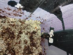 IMG_20211201_133036.jpg