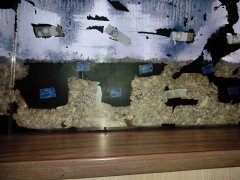 IMG_20211201_142229.jpg