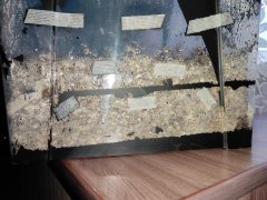 IMG_20211201_142353.jpg