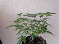 IMG_20211201_150024.jpg