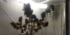 IMG_20211222_205845.jpg