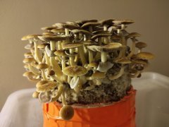 IMG_20220108_201739.jpg