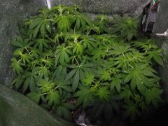 IMG_20220124_100311.jpg