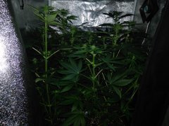IMG_20220204_194930.jpg
