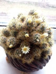photo_2022
