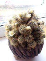 photo_2