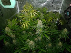 IMG_20220323_204801.jpg