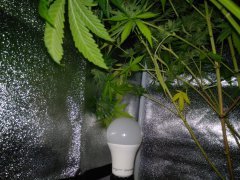 IMG_20220326_204955.jpg