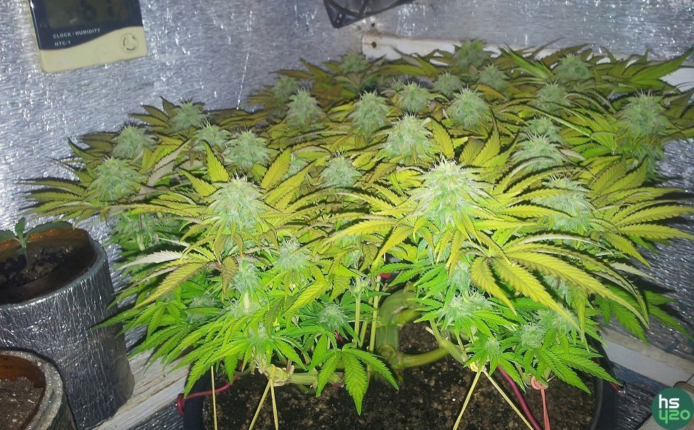 InDoor