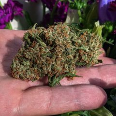 Green Crack.jpg