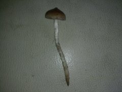 IMG_20220129_160527.jpg