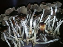 IMG_20220129_160642.jpg