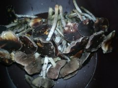 IMG_20220129_160657.jpg