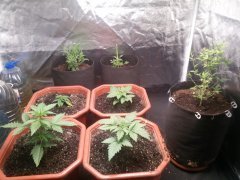 IMG_20220130_160930.jpg