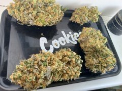 Fruit G﻿um