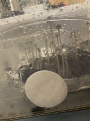 573252819_IMG_0112.jpeg