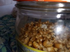 IMG20220503112156.jpg