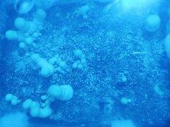 IMG_20220428_200501.jpg