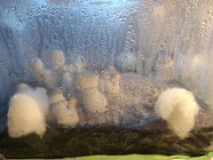 IMG_20220430_112542.jpg