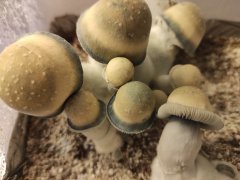 IMG_20220502_210715.jpg