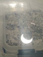 IMG_20220516_182357.jpg