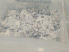 IMG_20220517_115320.jpg