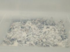 IMG_20220517_211418.jpg