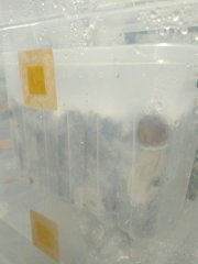 IMG_20220529_234516.jpg