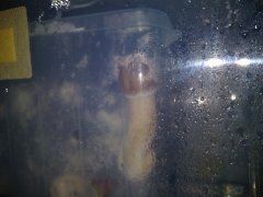 IMG_20220530_094311.jpg