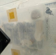 IMG_20220530_195607.jpg