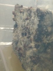 IMG_20220615_233610.jpg