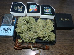 Fruit Gum