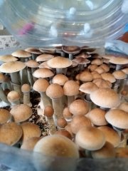 IMG20220612121026.jpg