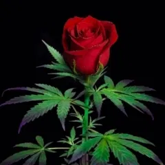 PoisonRose