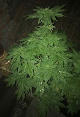 HdK17_20221024 (2)