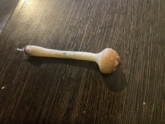 IMG_0474.jpg