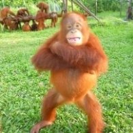 Monke