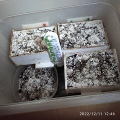 EoybLN56cUA6ncoScyfhPUsuvxDXg4iZu9ghGsuORWZSJi7z5091tf2vh4SWLV1K8ThsIyX-KhttPxvW4ZeMkd9r.jpg