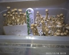 viauqi9LX_PNssIa73gT0Y-kO2xBBJRoK9Mqn4NjPCmydGsicDzIAwYH3xybiMAqg1kJ2i5QwRsWSdDbUq_oe3yr.jpg