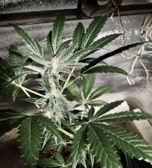 Kdh_2023-02-28