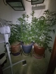 IMG_20230320_183643.jpg