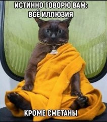 IMG_20230708_092052.jpg