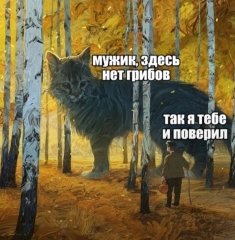 IMG_20240204_194400.jpg