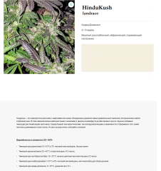 HinduKush passport
