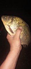 IMG20240614215307.jpg