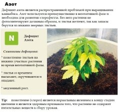2 - азот.jpg