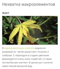3 - азот.jpg