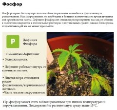 4 - фосфор.jpg