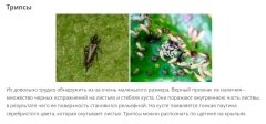 PicsArt_08-01-10.34.27.jpg