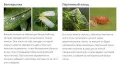 PicsArt_08-01-10.40.29.jpg